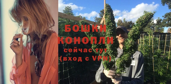 PSILOCYBIN Остров